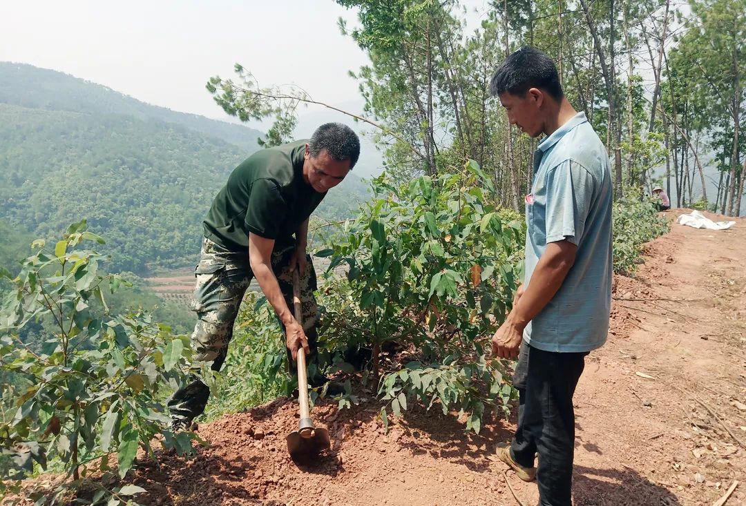 1655172927956544.jpg 3.jpg