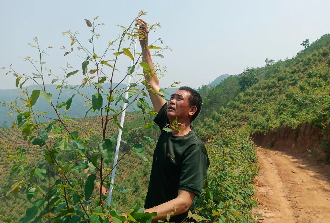 1655174142961041.jpg 3.jpg