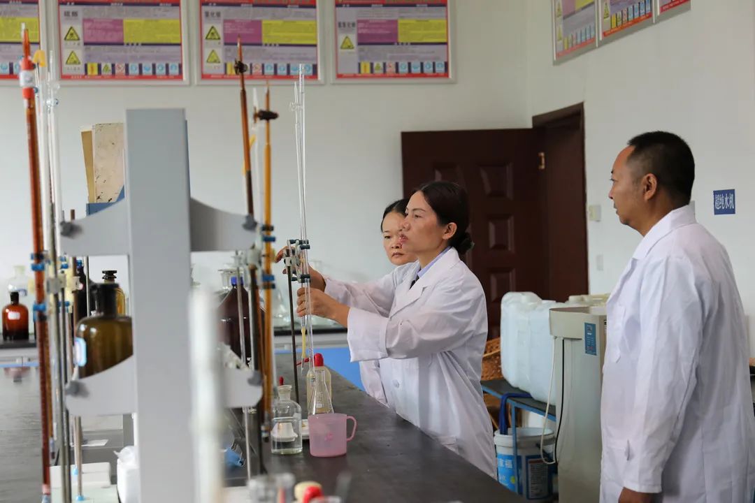 1655175590741617.jpg 1.jpg