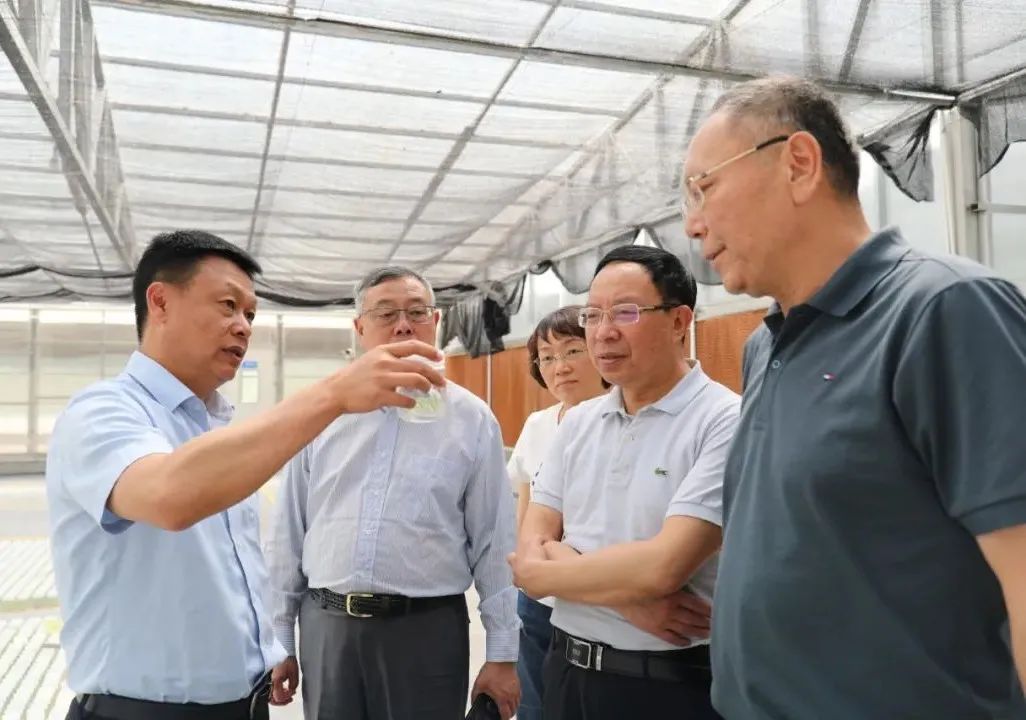 1656031685773713.jpg 111.jpg