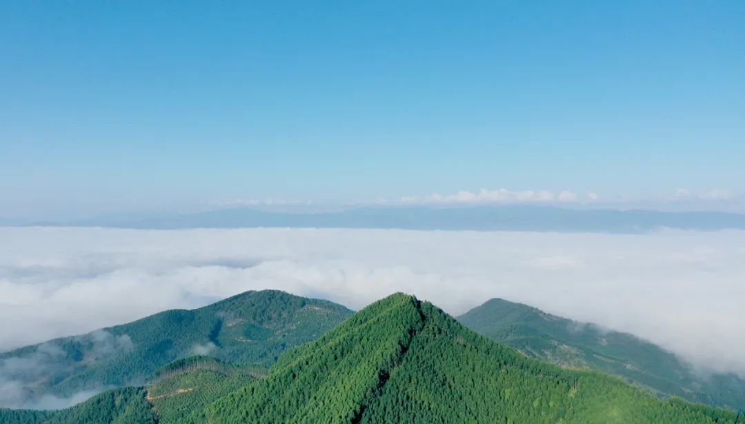 1668416136280408.jpg 微信圖片_20221114165400.jpg