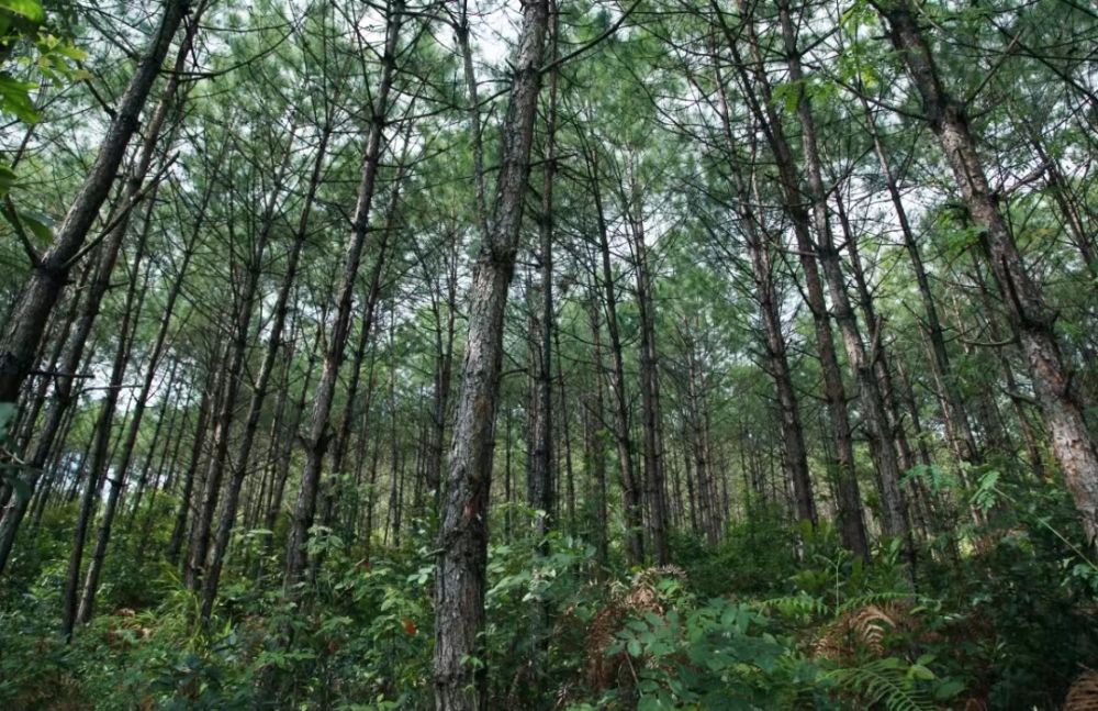 1668474335556770.jpg 微信圖片_20221115090510.jpg