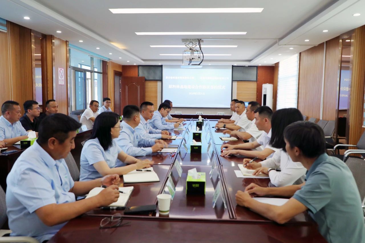 1743552718749142.jpg 11.jpg