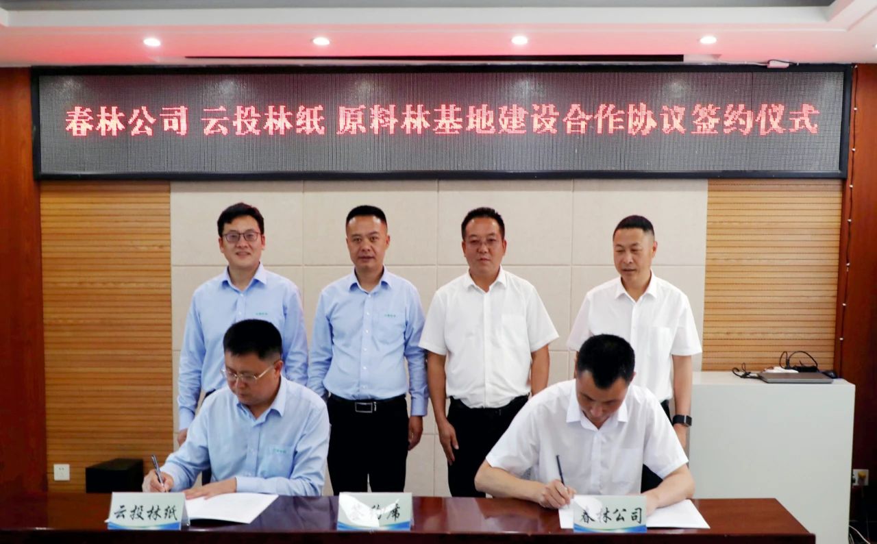 1743552753859935.jpg 12.jpg