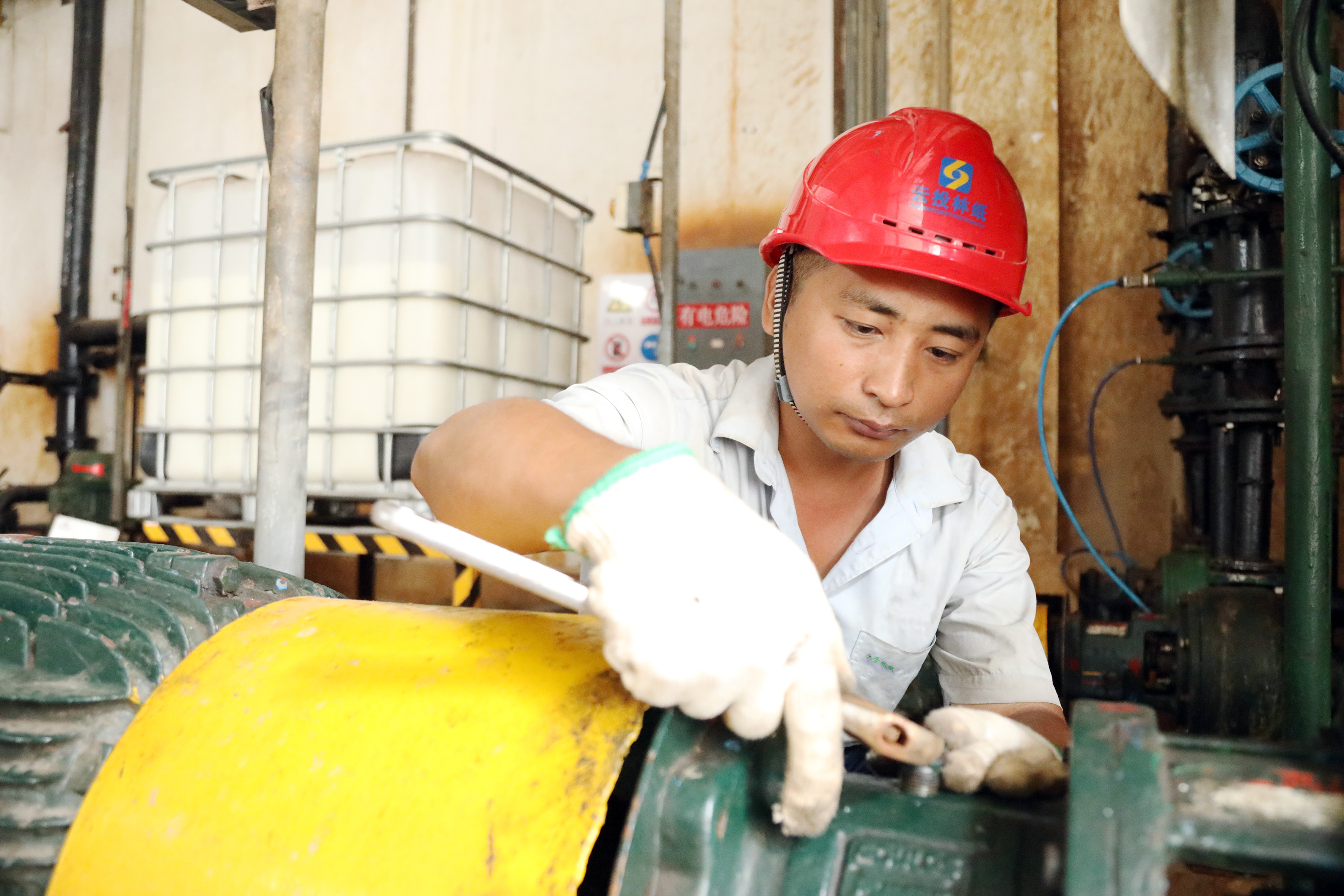 1757665912924663.jpg 雙云春 (2).JPG