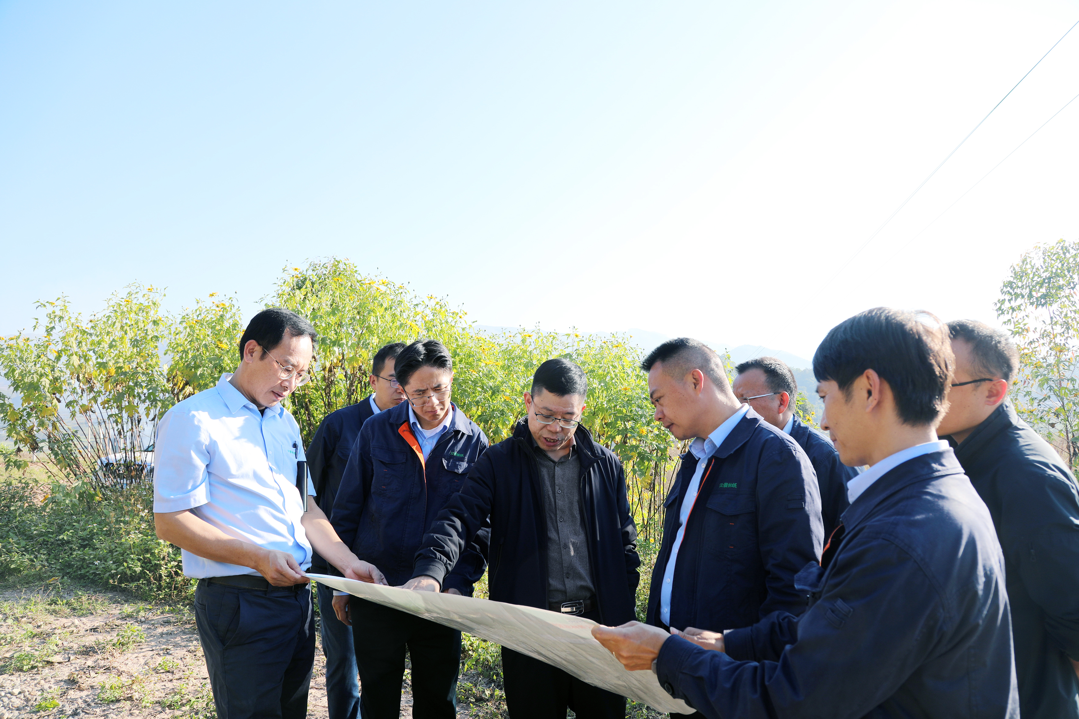 1764678127462994.jpg 3Q9A3712.JPG